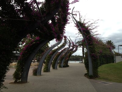 Brisbane, IMG_1492