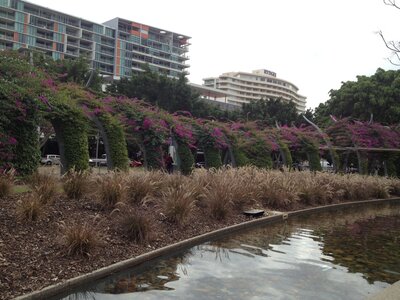 Brisbane, IMG_1505