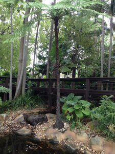 Brisbane, IMG_1511