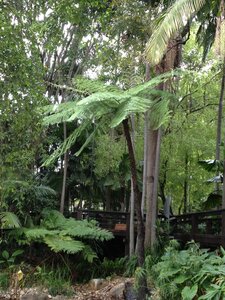 Brisbane, IMG_1512
