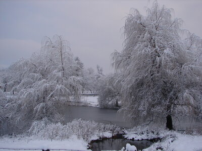2009-02-08 Neige Frédéric-Fontaine, DSC01672