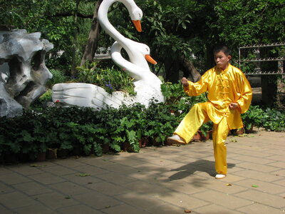 Rencontre FRANCO-CHINOISE YP, IMG_5675