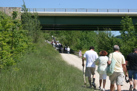 2010 GRDL - GRAND RASSEMBLEMENT DES LAFAYE, E- RANDO VERS PLANSONNIE  082 