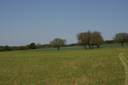 2010 GRDL - GRAND RASSEMBLEMENT DES LAFAYE, E- RANDO VERS PLANSONNIE  085 
