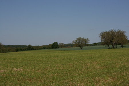 2010 GRDL - GRAND RASSEMBLEMENT DES LAFAYE, E- RANDO VERS PLANSONNIE  086 