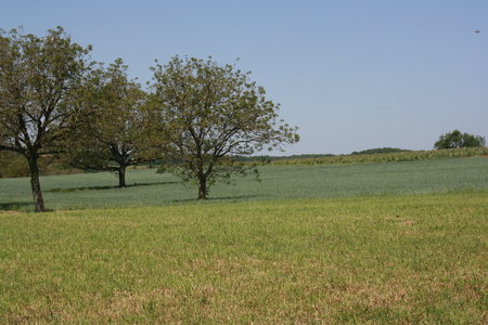 2010 GRDL - GRAND RASSEMBLEMENT DES LAFAYE, E- RANDO VERS PLANSONNIE  091 