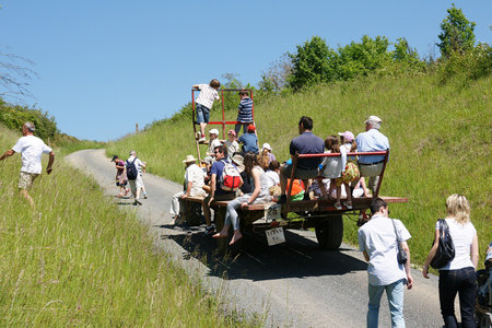 2010 GRDL - GRAND RASSEMBLEMENT DES LAFAYE, E- RANDO VERS PLANSONNIE  105 