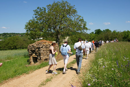 2010 GRDL - GRAND RASSEMBLEMENT DES LAFAYE, E- RANDO VERS PLANSONNIE  110 