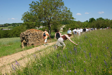 2010 GRDL - GRAND RASSEMBLEMENT DES LAFAYE, E- RANDO VERS PLANSONNIE  111 