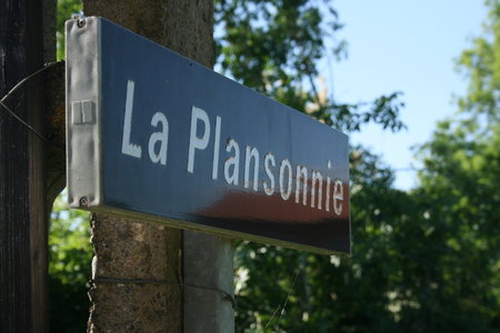 2010 GRDL - GRAND RASSEMBLEMENT DES LAFAYE, E- RANDO VERS PLANSONNIE  147 