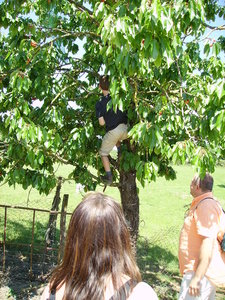 2010 GRDL - GRAND RASSEMBLEMENT DES LAFAYE, E- RANDO VERS PLANSONNIE  185 