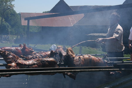 2010 GRDL - GRAND RASSEMBLEMENT DES LAFAYE, F- MECHOUI PLANSONNIE  056 