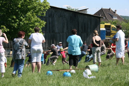 2010 GRDL - GRAND RASSEMBLEMENT DES LAFAYE, G- JEUX PLANSONNIE  016 