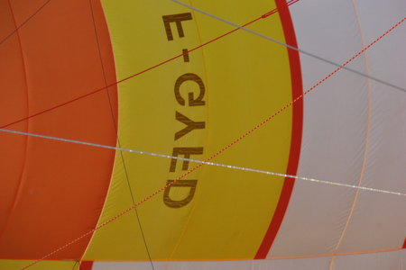2010 GRDL - GRAND RASSEMBLEMENT DES LAFAYE, J- MONTGOLFIERES  018 