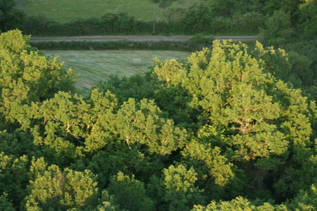 2010 GRDL - GRAND RASSEMBLEMENT DES LAFAYE, J- MONTGOLFIERES  109 