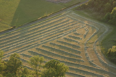 2010 GRDL - GRAND RASSEMBLEMENT DES LAFAYE, J- MONTGOLFIERES  110 