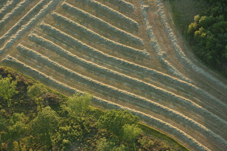 2010 GRDL - GRAND RASSEMBLEMENT DES LAFAYE, J- MONTGOLFIERES  111 