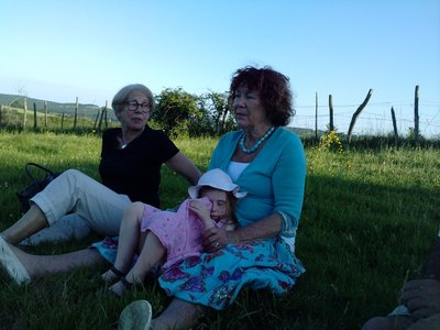 2010 GRDL - GRAND RASSEMBLEMENT DES LAFAYE, J- MONTGOLFIERES  174 