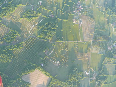 2010 GRDL - GRAND RASSEMBLEMENT DES LAFAYE, J- MONTGOLFIERES  248 