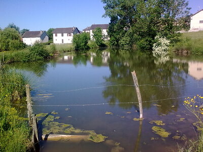 2010 GRDL - GRAND RASSEMBLEMENT DES LAFAYE, L- DIVERS INCLASSABLES  046 