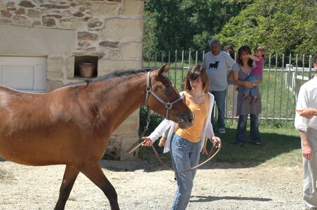2010 GRDL - GRAND RASSEMBLEMENT DES LAFAYE, L- DIVERS INCLASSABLES  118 