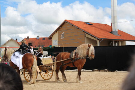 Gentianes en Fêtes 2013, IMG_6376