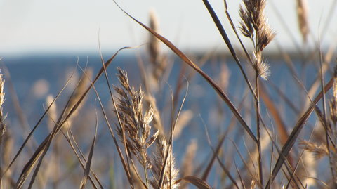 Joensuu and Co., IMG_3107