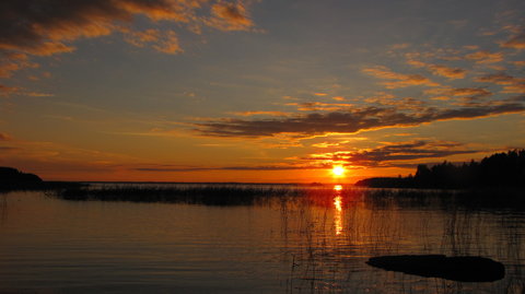 Joensuu and Co., IMG_2957