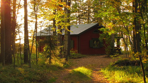 Joensuu and Co., IMG_2909