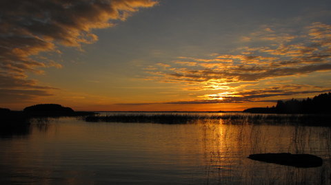 Joensuu and Co., IMG_2926