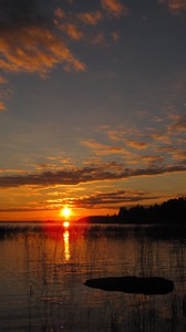 Joensuu and Co., IMG_2962