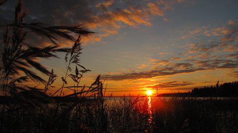 Joensuu and Co., IMG_2969