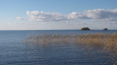 Joensuu and Co., IMG_3147