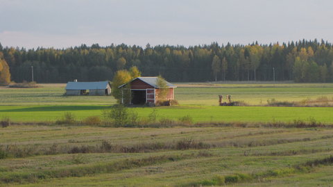 Joensuu and Co., IMG_3163