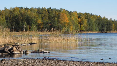 Joensuu and Co., IMG_3060