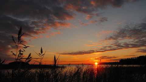 Joensuu and Co., IMG_3001