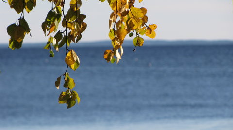 Joensuu and Co., IMG_3097