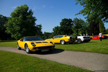 50 ans de Lamborghini by Dream Exoctic Cars (30/06/2013), IMG_0075  Copier 