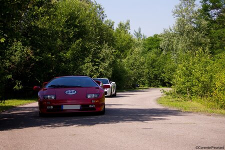 50 ans de Lamborghini by Dream Exoctic Cars (30/06/2013), IMG_0154  Copier 