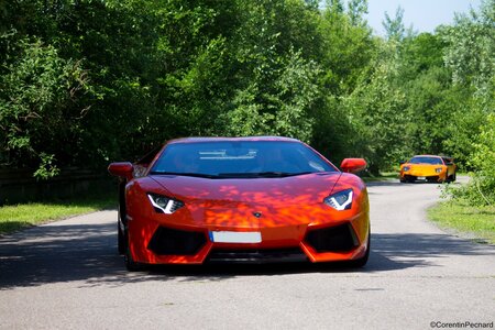 50 ans de Lamborghini by Dream Exoctic Cars (30/06/2013), IMG_0156  Copier 