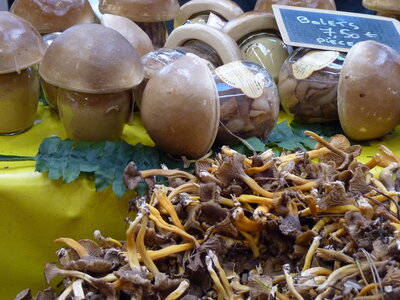 MARCHE DU GOUT, P1030611