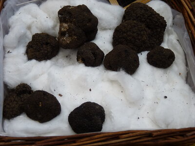 MARCHE DU GOUT, P1030613