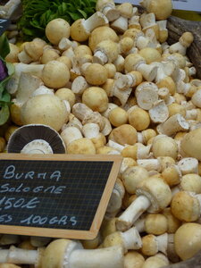 MARCHE DU GOUT, P1030614