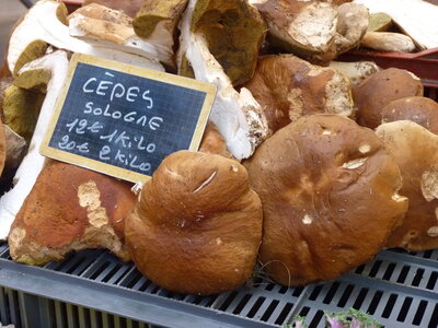 MARCHE DU GOUT, P1030616