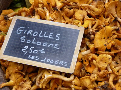 MARCHE DU GOUT, P1030615