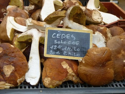 MARCHE DU GOUT, P1030618