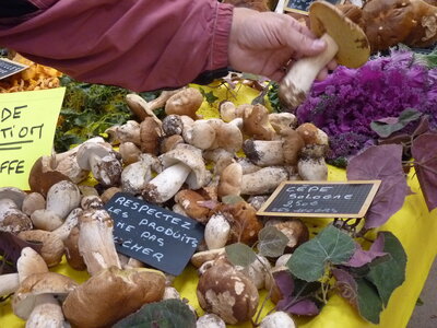 MARCHE DU GOUT, P1030621