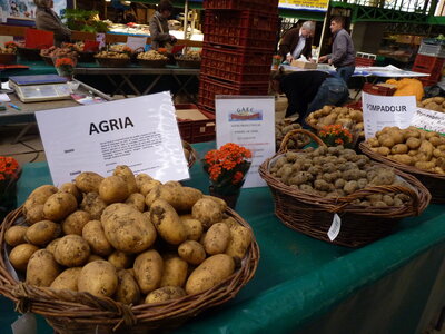 MARCHE DU GOUT, P1030501