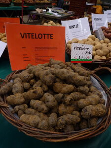 MARCHE DU GOUT, P1030500
