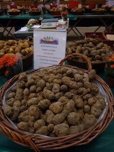 MARCHE DU GOUT, P1030499